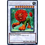 HA02-IT058 Naturia Leodrago rara segreta 1a Edizione (IT) -NEAR MINT-