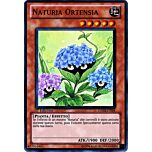 HA03-IT044 Naturia Ortensia super rara 1a Edizione (IT) -NEAR MINT-