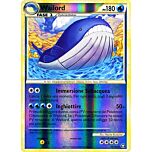 031 / 102 Wailord rara foil reverse (IT) -NEAR MINT-