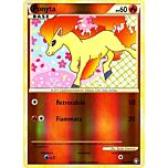 072 / 102 Ponyta comune foil reverse (IT) -NEAR MINT-