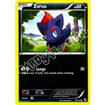 070 / 114 Zorua comune (EN) -NEAR MINT-