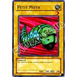 MRD-E023 Petit Moth comune 1st edition (EN)