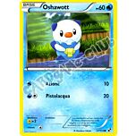 027 / 114 Oshawott comune (IT) -NEAR MINT-