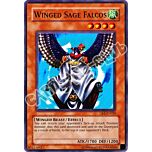 DR1-EN020 Winged Sage Falcos comune (EN) -NEAR MINT-
