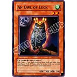 DR1-EN021 An Owl of Luck comune (EN) -NEAR MINT-