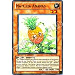 HASE-IT002 Naturia Ananas super rara Edizione Limitata (IT) -NEAR MINT-