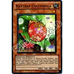 HA04-IT020 Naturia Coccinella super rara unlimited (IT) -NEAR MINT-