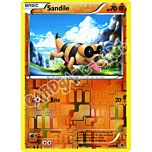 60 / 98 Sandile comune foil reverse (EN) -NEAR MINT-