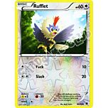 86 / 98 Rufflet comune foil reverse (EN) -NEAR MINT-