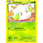 09 / 98 Cottonee comune (IT) -NEAR MINT-