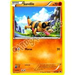 60 / 98 Sandile comune (IT) -NEAR MINT-