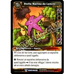 Stella Marina da Lancio rara (IT) -NEAR MINT-