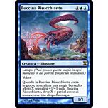 057 / 301 Buccina Risucchiante rara (IT) -NEAR MINT-