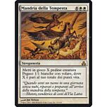 019 / 165 Mandria della Tempesta rara (IT) -NEAR MINT-
