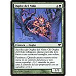 065 / 180 Ouphe del Nido comune (IT) -NEAR MINT-