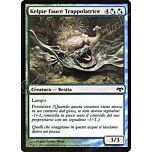164 / 180 Kelpie Fauce Trappolatrice comune (IT) -NEAR MINT-