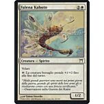 020 / 306 Falena Kabuto comune (IT) -NEAR MINT-