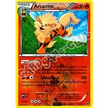 012 / 099 Arcanine rara foil reverse (IT)  -PLAYED-