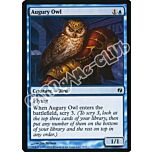 03 / 77 Augury Owl comune (EN) -NEAR MINT-