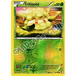 014 / 149 Cottonee comune foil reverse (EN) -NEAR MINT-