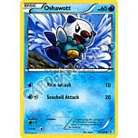 039 / 149 Oshawott comune (EN) -NEAR MINT-