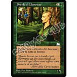 Druido di Llanowar comune (IT) -NEAR MINT-