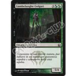 216 / 274 Gambelunghe Golgari comune (IT) -NEAR MINT-