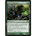 124 / 249 Viticci Intralcianti non comune (IT) -NEAR MINT-