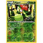 017 / 149 Lilligant rara foil reverse (IT) -NEAR MINT-