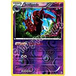 074 / 149 Scolipede rara foil reverse (IT) -NEAR MINT-