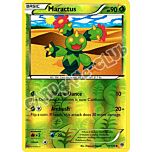 011 / 135 Maractus non comune foil reverse (EN) -NEAR MINT-