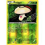 012 / 135 Foongus comune foil reverse (EN) -NEAR MINT-