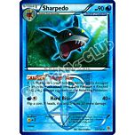 033 / 135 Sharpedo rara (EN) -NEAR MINT-