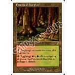 336 / 350 Foresta di Karplus rara (IT) -NEAR MINT-