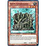 BP01-IT157 Siepe Guardiana comune Unlimited (IT)  -PLAYED-