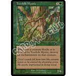 114 / 143 Treefolk Mystic comune (EN) -NEAR MINT-
