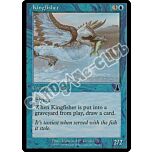 036 / 143 Kingfisher comune (EN) -NEAR MINT-