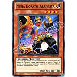 ORCS-IT031 Ninja Dorato Arrivista comune Unlimited (IT) -NEAR MINT-