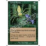 234 / 350 Canopy Spider comune (EN) -NEAR MINT-