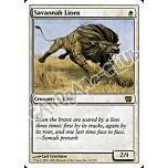 043 / 350 Savannah Lions rara (EN) -NEAR MINT-