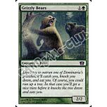 256 / 350 Grizzly Bears comune (EN) -NEAR MINT-