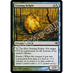 153 / 180 Grazing Kelpie comune (EN) -NEAR MINT-