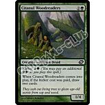 125 / 165 Citanul Woodreaders comune (EN) -NEAR MINT-