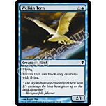 076 / 249 Welkin Tern comune (EN) -NEAR MINT-
