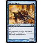 055 / 249 Horned Turtle comune (EN) -NEAR MINT-