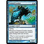 076 / 249 Trained Condor comune (EN) -NEAR MINT-