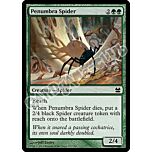 157 / 229 Penumbra Spider comune (EN) -NEAR MINT-