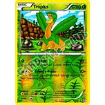 005 / 101 Tropius non comune foil reverse (EN) -NEAR MINT-