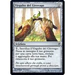 265 / 301 Virgulto del Girovago comune (IT) -NEAR MINT-