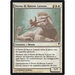 025 / 155 Dorso-di-Rasoio Lanoso rara (IT) -NEAR MINT-